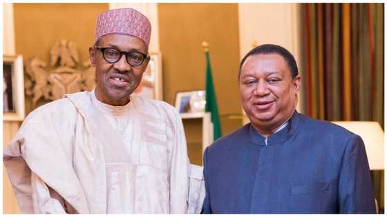 “Here today, gone tomorrow”: Femi Adesina Mourns, reveals Barkindo’s final words to President Buhari