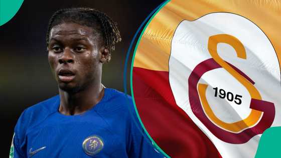 Galatasaray sign Super Eagles-eligible ex-Chelsea star to join Victor Osimhen