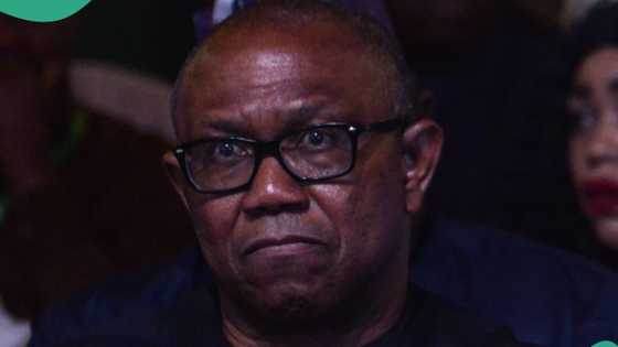 Explain to us why UK slides into recession, Daniel Bwala tackles Peter Obi