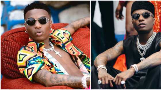 Dem no born am well not to go: Nigerians react as video shows moment Wizkid summoned young lady in club