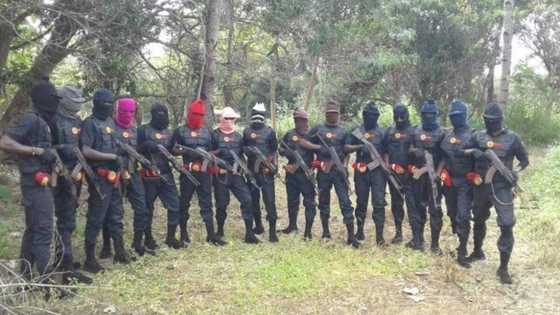 New report exposes the man behind unknown gunmen in southeast, group's real name