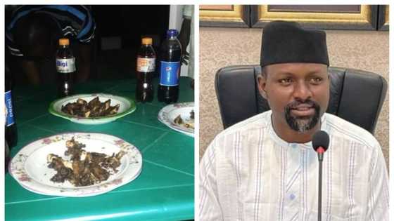 Mutum 40 kacal suka halarta bana sabanin 300 a bara: Mai shirya liyafar murnar dawowar Buhari