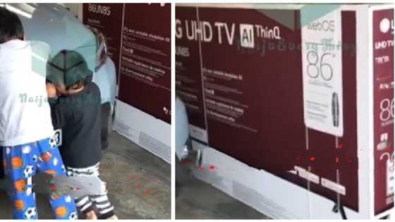 We are really sorry, children say after using mum's phone to order & pay for big television, video goes viral
