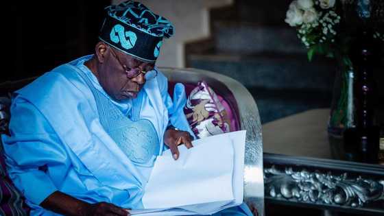 Who is behind it? Fresh update emerges about suit seeking Tinubu's disqualification ahead of 2023