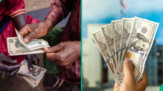 Naira opens new week on weak note against US dollar across FX markets