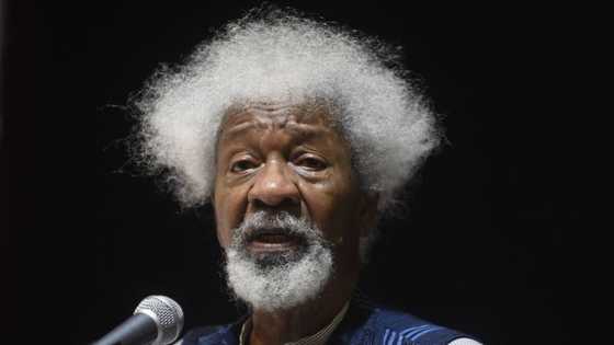 Agitation: Why I don’t like the sound of a Yoruba Nation - Wole Soyinka