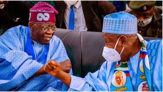 Tinubu rejoices with Ganduje at 73, describes Kano Governor a faithful friend, brother