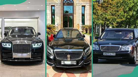 What's the biggest car in the world: a look at the top 10 record-breaking vehicles