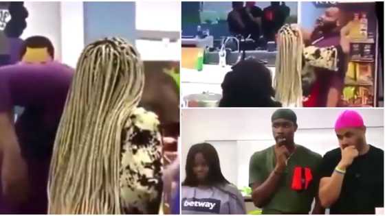 Call me Professor Kidd: Kiddwaya finally reacts to video clip of him with Erica in BBNaija kitchen