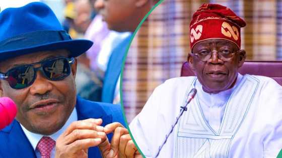 "Ba Minista Ne Kawai Ba", Tinubu Ya Bayyana Matsayin Wike A Zuciyarsa, Ya Yi Bayani