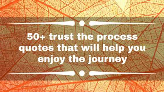 50+ trust the process quotes that will help you enjoy the journey