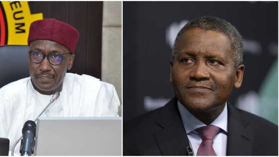 NNPC ask Aliko Dangote to part with 20% stake in his refinery business