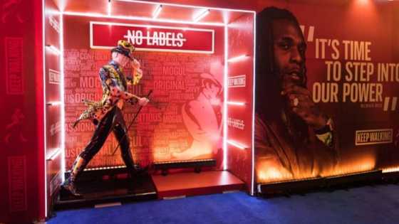 NoLabels: Burna Boy's Concert Was Truly Remarkable