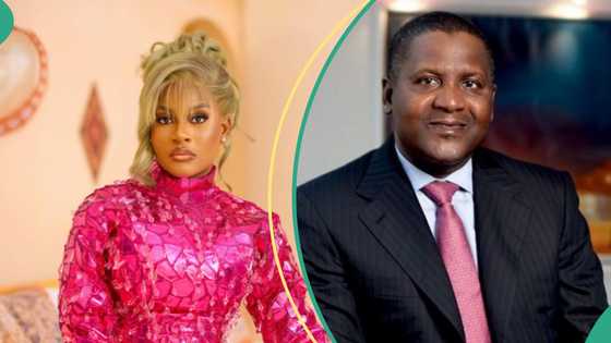 “I will burn trailers”: BBNaija Phyna opens up on how Dangote compensated her family after her sister’s burial