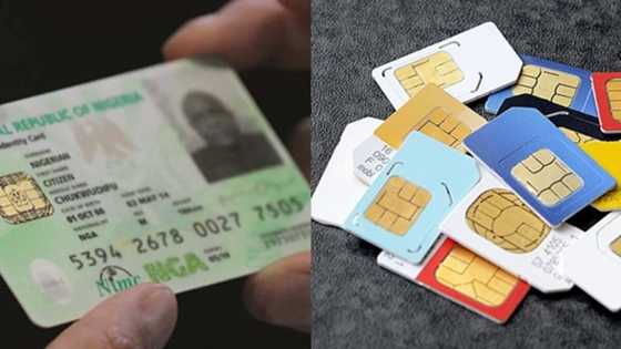 National ID: This is how to link your phone numbers with NIN (see steps)