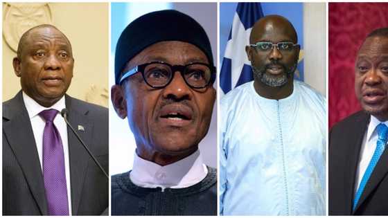 Highest paid African presidents in 2021: Buhari's position tears Nigerians apart