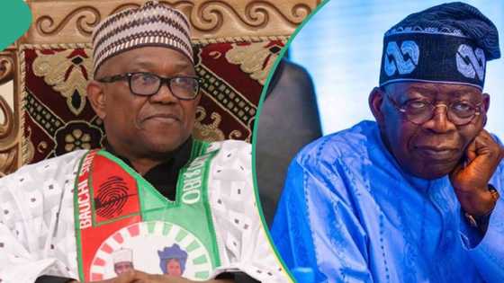 Dambarwar Satifiket: Peter Obi Ya Fadi Dalili 1 Tak da Tinubu Ya Yi Na Zubar Wa Najeriya Martaba a Idon Duniya