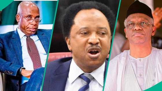 "You've no right": Shehu Sani replies Amaechi, El-Rufai over claims that Tinubu is poorly performing