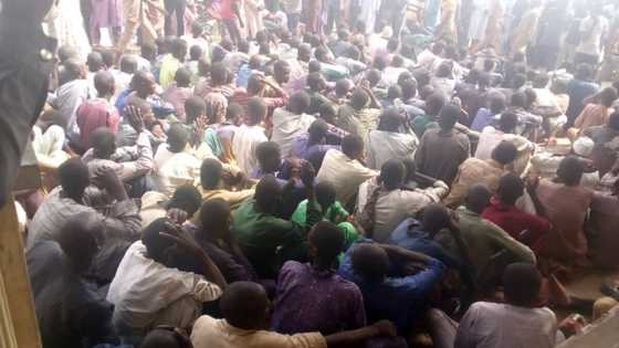 Borno: Hotunan Tubabbun 'Yan Boko Haram 204 Yayin da Suka Mika Kansu ga Sojoji