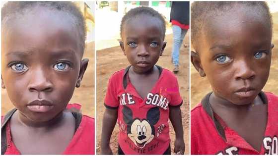 "I met him in the village": Boy with shiny black skin and blue eyes trends on TikTok as his video goes viral