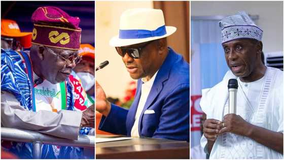 Tinubu’s ally finally reveals what Amaechi should start doing as Wike’s defection rumour to APC gets boosted