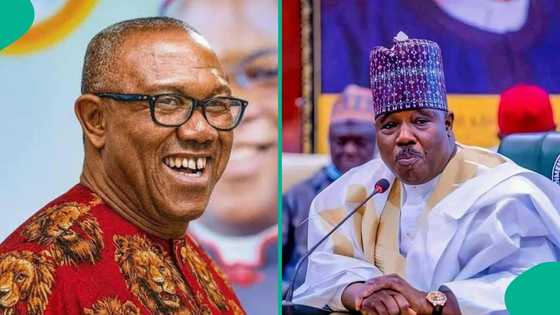 Northerners react to Modu Sheriff’s claim that Obi won’t win their support in 2027, "We're OK"