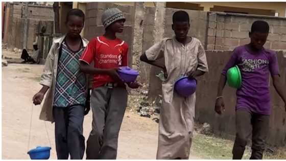 Hukumar hisbah ta damke almajirai 21 a Kano