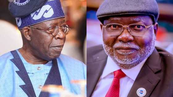 Presidential election tribunal: Did Tinubu, CJN Ariwoola meet in UK? Fresh details emerge