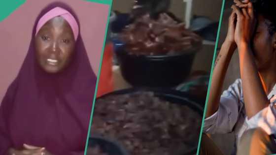 Bidiyo: Wata mata ta nemi taimakon ƴan Arewa, ta faɗi yadda wani mutumi ya cuce ta