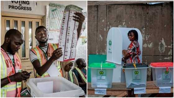 Anambra 2025 governorship election: How to check live results from polling units on INEC portal
