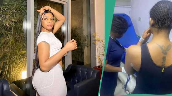 "I never scammed nor lied to Nigerians": Jay Boogie finally addresses fraud allegation, clip trends