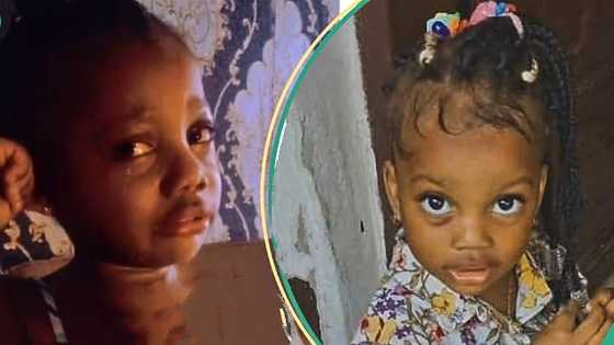 Little girl in tears after seeing food her mum served her for breakfast, rejects it in video