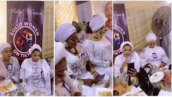 "Is this a joke?" Nigerian Women Who Are Active on TikTok Hold Physical Meeting, Video Attracts Attention