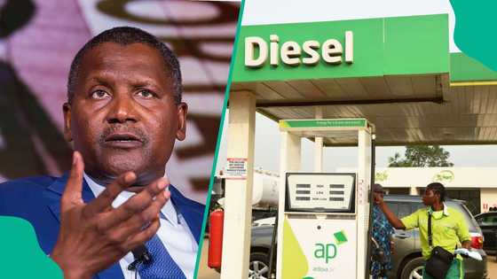 Depot owners raise diesel price again as Dangote Refinery suspends loading