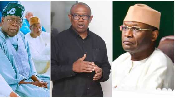 BREAKING: Election tribunal gives fresh order to Peter Obi, Tinubu, INEC