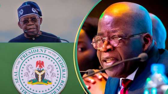 1-Year-in-Office: Tinubu to resume N-Power, other conditional cash transfer programmes