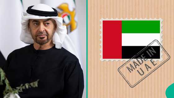 UAE lists only 3 authorities that can nominate foreigners for citizenship in 2026