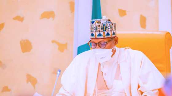 FG gives N10,000 to 1.6 million households every two months, says Buhari