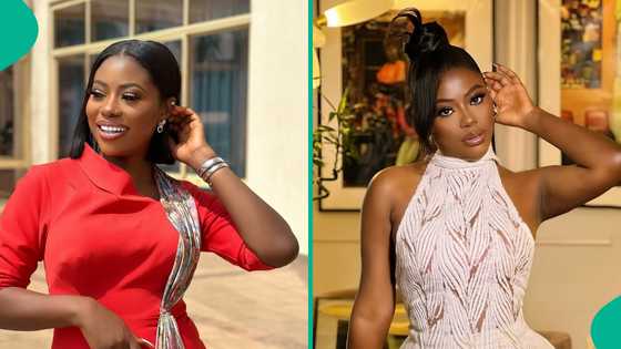 Sophia Momodu dazzles in see-through gown, throws shade: "Try dey pity Dabota please"