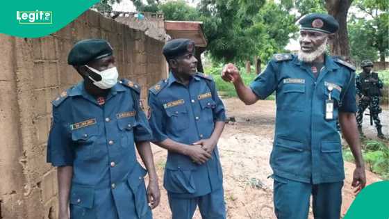 Hukumar Hisbah ta dakatar da wani babban biki a Yobe, an cafke ɗan TikTok a Kano