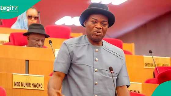 Anambra community sends notable message to NDC senator over traditional ruler election