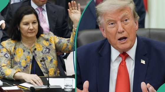 US revokes Brazil Ambassador's visa: Why Trump made the surprise move