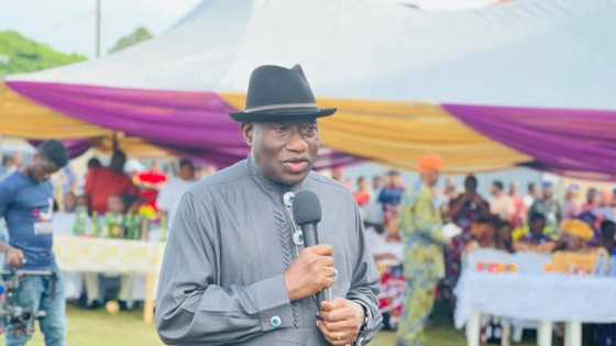Presidency 2023: Jonathan to get APC ticket? Former lawmaker issues warning as Buhari speaks on successor