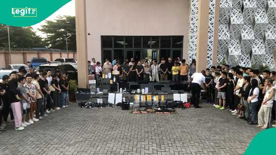 Nigeria Police Force commends cybercrime bust, affirms capabilities