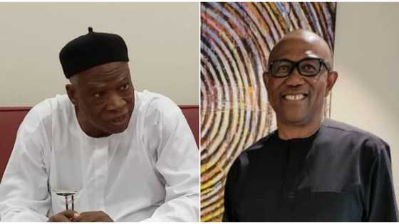 2023: Peter Obi means well for Nigeria, he is grounded - APC's national chairman