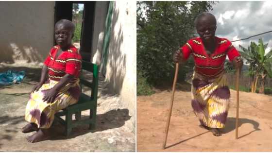 Rayuwa tayi wahala: Budurwa yar shekara 70 da ke jiran masoyi na gaskiya ta magantu a bidiyo