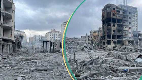 Israel-Palestine war: List of foreigners killed, missing, abducted