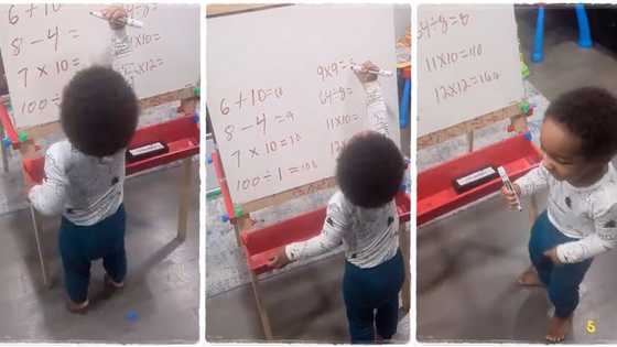 "2-year-old genius": Smart kid perfectly solves mathematics questions, gets 8 answers correctly