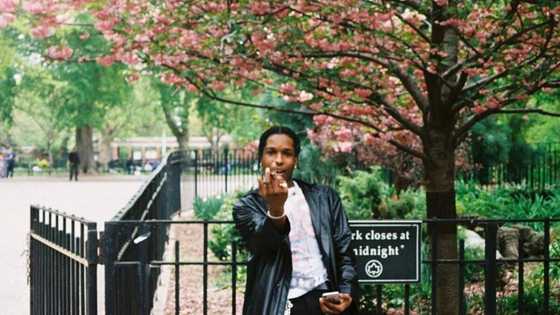 Top facts about ASAP Rocky's net worth and career