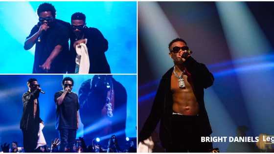 Wizkid's Suya rant, 'bromance' with Olamide, other moments from singer's concert sighted in 7 exclusive videos